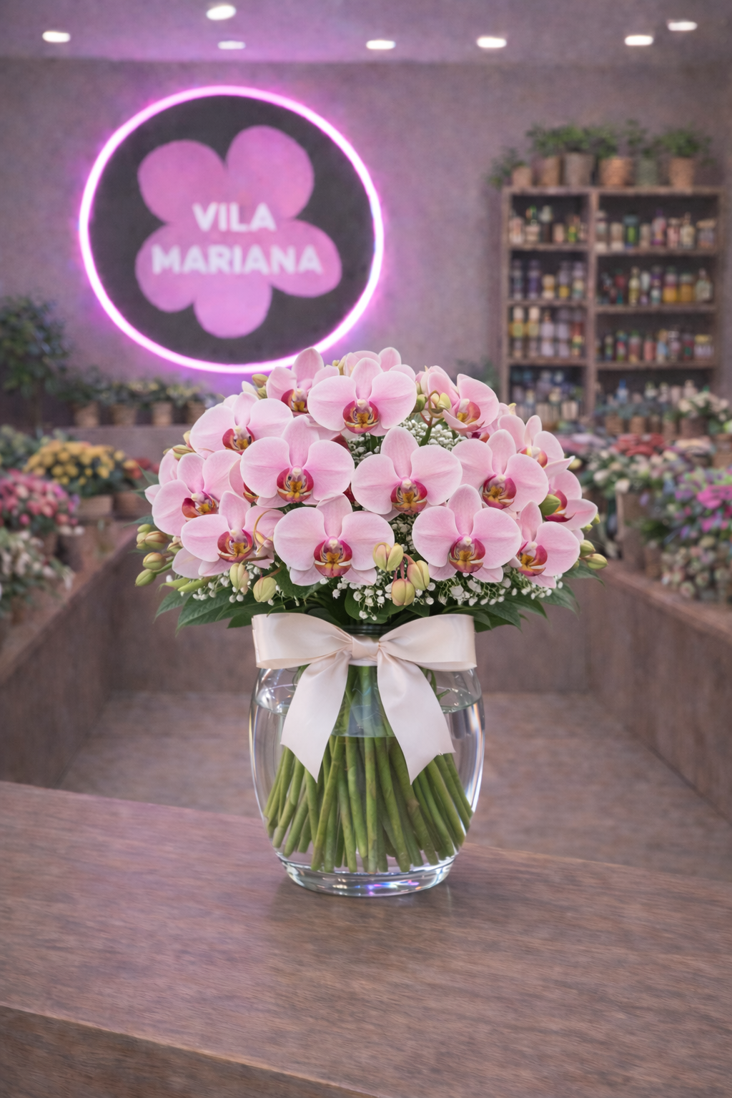 ChatGPT Image 18 de dez. de 2025, 18_58_11